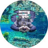 guia-flutuações guia-flutuações