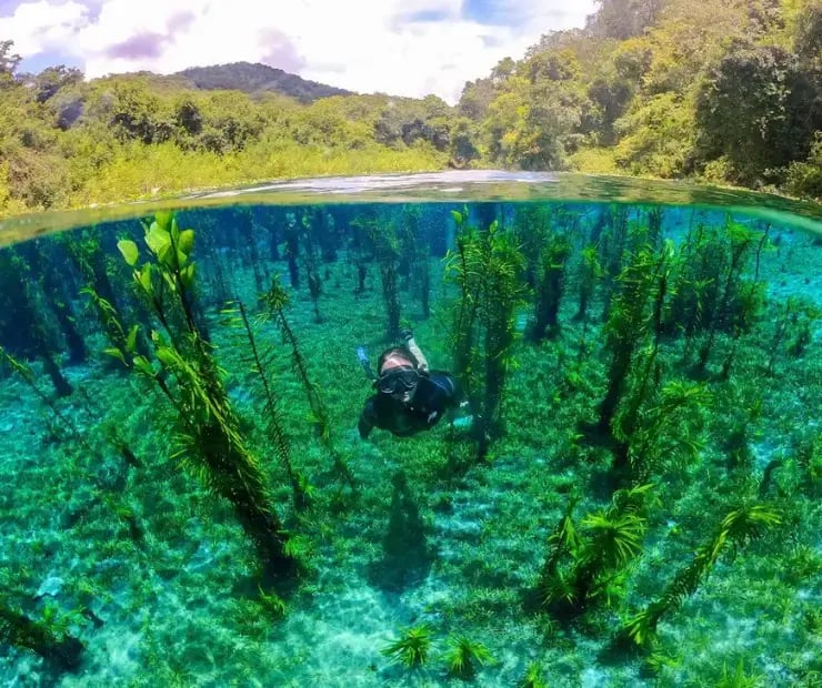 nascentes do rio azul em bonito ms