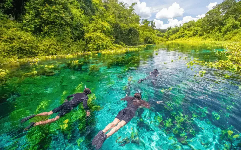 Combo Rio Azul + FERVEDOURO